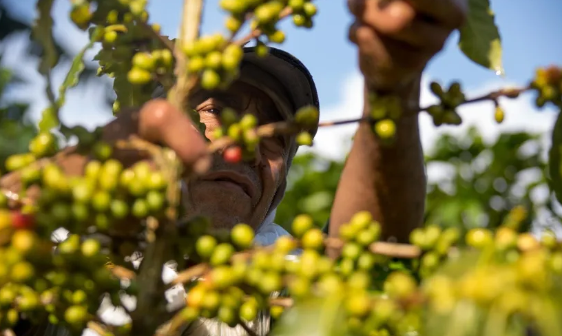 columbia farmer